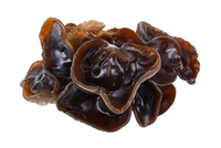 Kara Kulak Mantarı