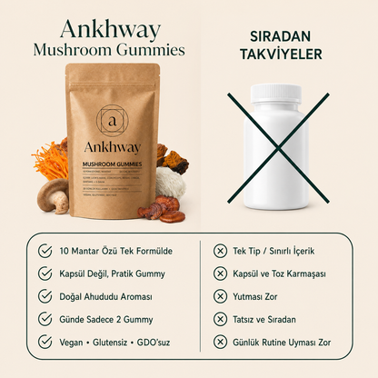 10 Mantar Kompleksi — Günlük Odak & Enerji Gummy'si